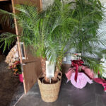 老人ホーム開店御祝い㊗️